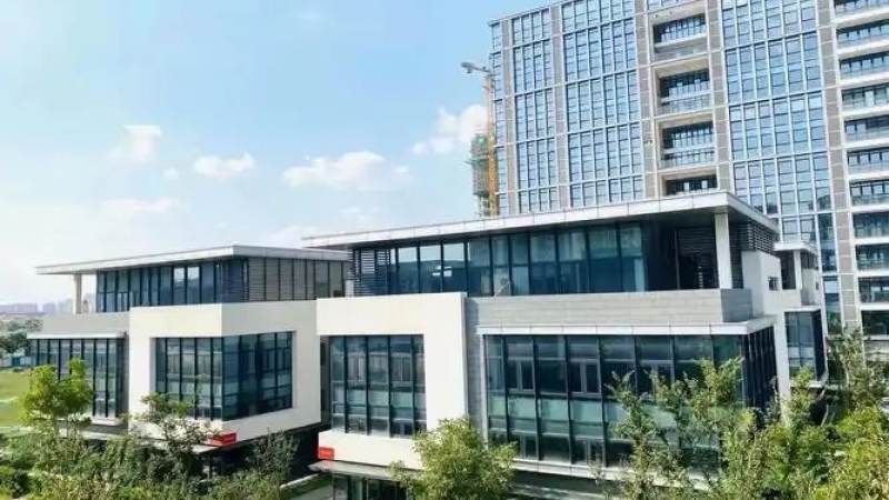 大象体育 体育术语表统一写法